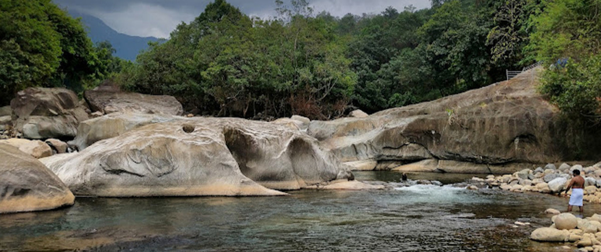 Arippara