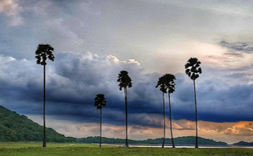 Kava View Point 