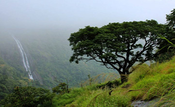  Nelliyampathy Hills
