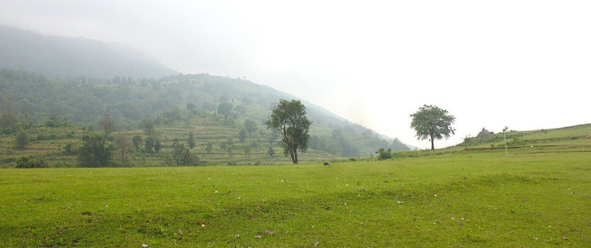Attappadi Reserve Forest