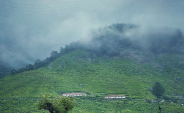 Attappadi Reserve Forest