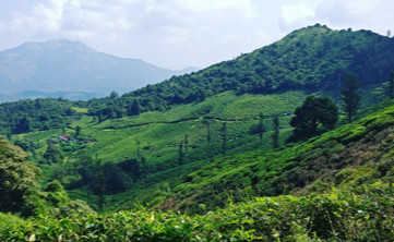  Chembra Peak