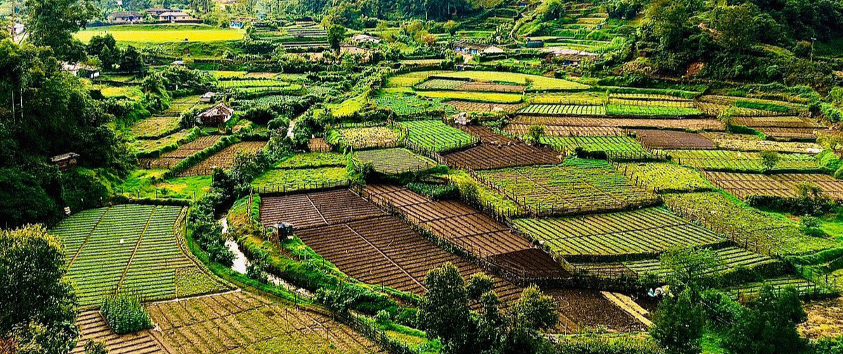 Munnar