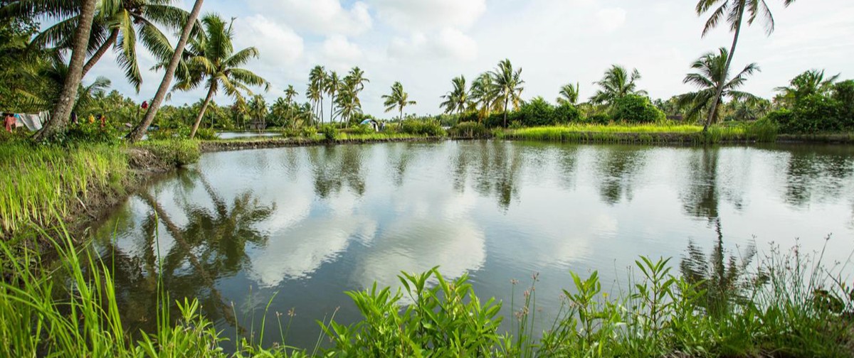 Kakkathuruthu Island