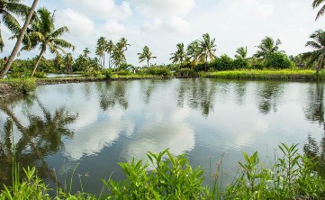 Kakkathuruthu Island